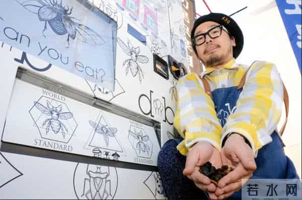 日本蟋蟀食品大受欢迎