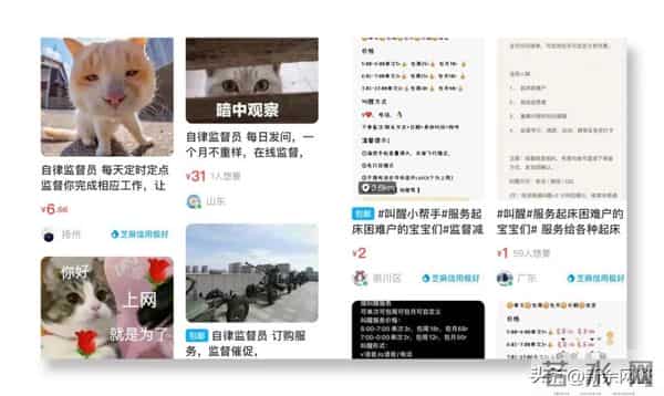 波兰发生多起涂黑石头冒充煤炭事件