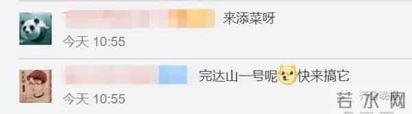 野猪闯入湖北一校园通信营业厅