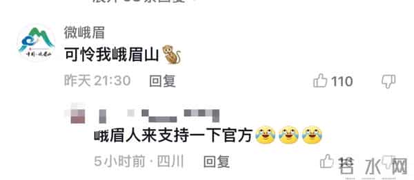 金丝猴坐路边礼貌接过游客苹果