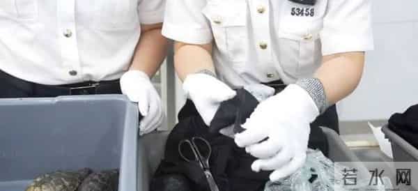 女子隔离到豪华套房