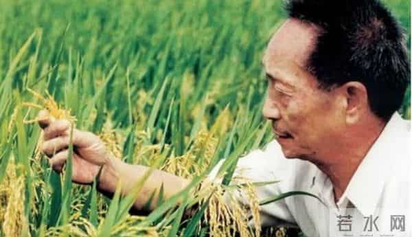 袁隆平去世辟谣