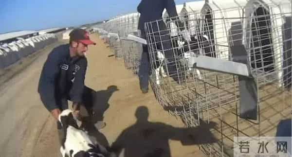 乌国内抵制可口可乐