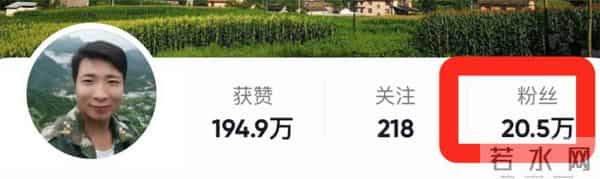 经纪人称余秀华与伴侣已分手