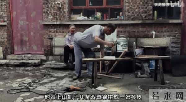 镇上回应二舅视频