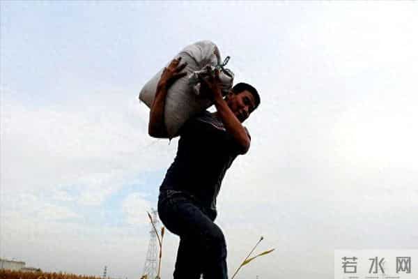 专家建议农民在县城买房住