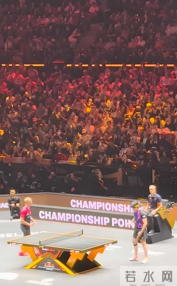 马龙王楚钦3-0高茨A勒布伦