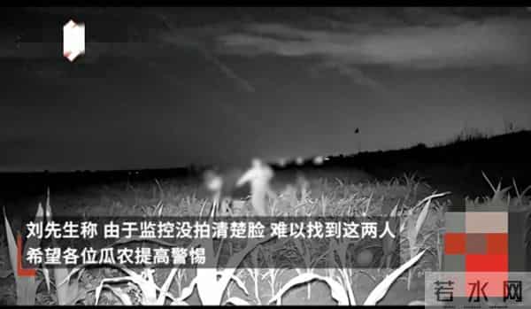 天津2名女子夜晚拿麻袋到地里偷瓜