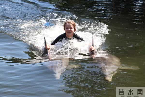 男子游泳被鲨鱼袭击幸有海豚相救