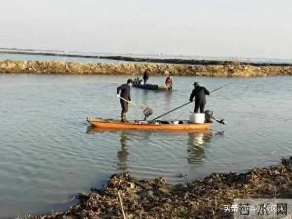 女子违法放生被起诉