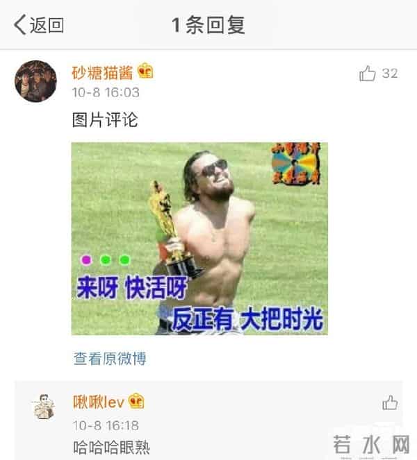 莱昂纳多开微博