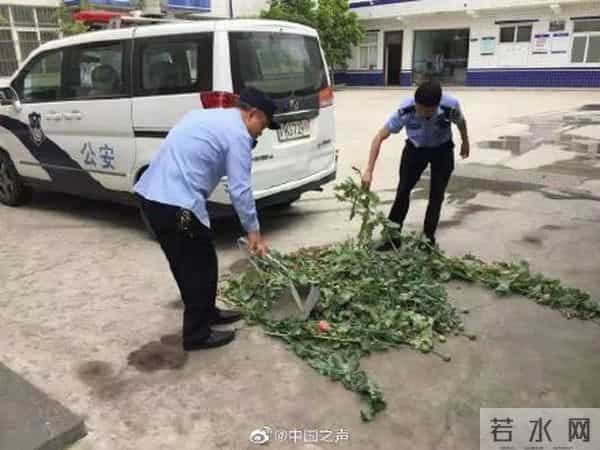 吃凉皮上瘾查出罂粟