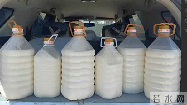 狗狗咬破白酒桶把自己灌醉