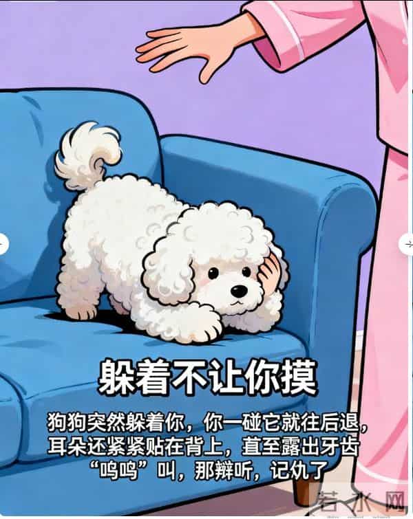 3斤小狗舔5斤大鱼被鱼尾抽翻