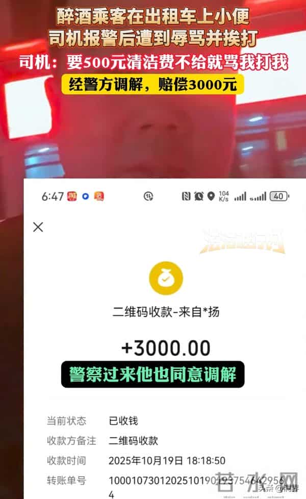 女子醉酒吐车上司机索赔20