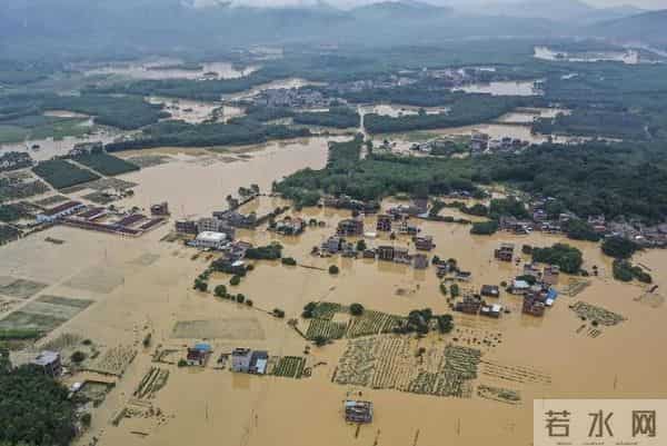食人鱼可以吃吗