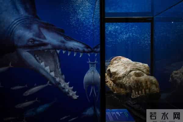 乌攒大量代孕新生儿