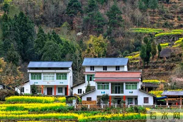 专家建议农民在县城买房住