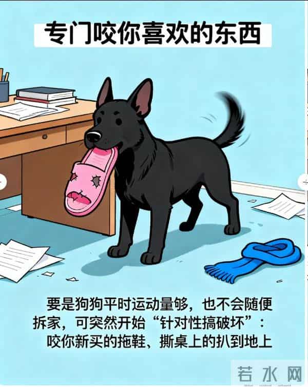 3斤小狗舔5斤大鱼被鱼尾抽翻