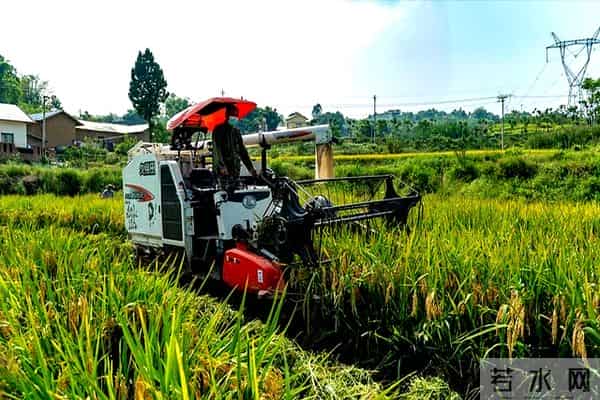 专家建议农民在县城买房住