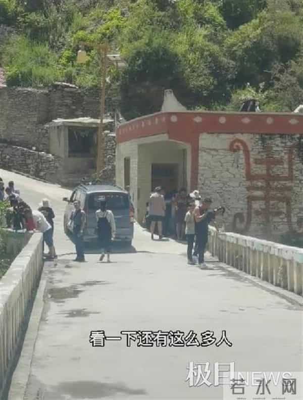 四川一窝蛇晒太阳成网红