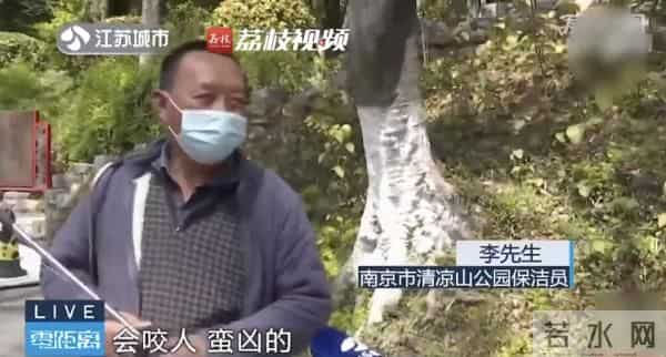 南京人看到泼猴请立即报告