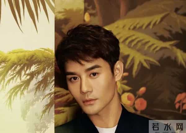 樊胜美男人出轨琅琊榜长公主