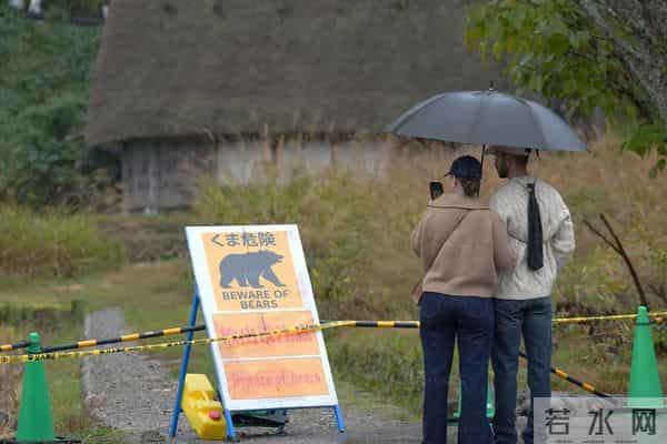 日本街头熊出没