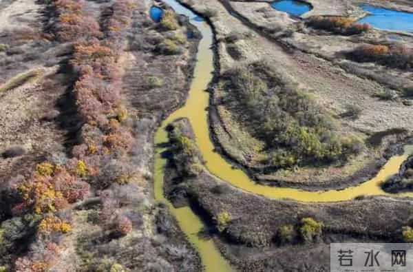 女孩因老师漂亮抑郁