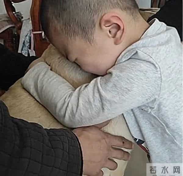 土狗被扔50公里外一星期后跑回家