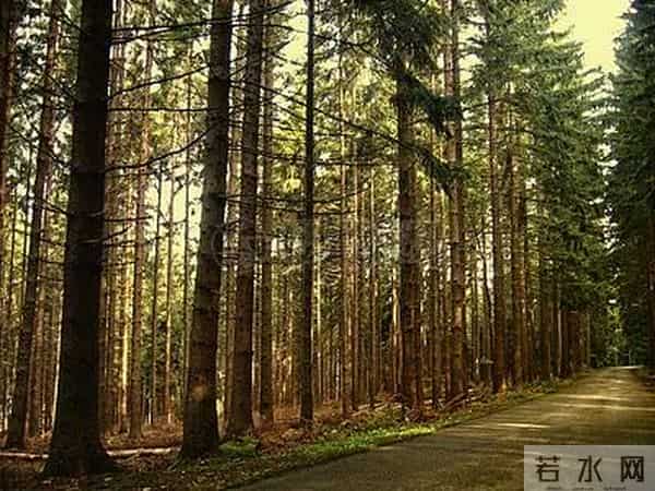 女孩因老师漂亮抑郁