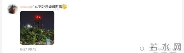 白云机场是最大蟑螂