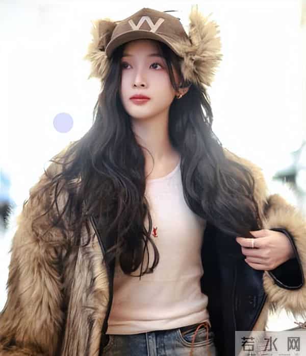 火箭少女十家粉丝