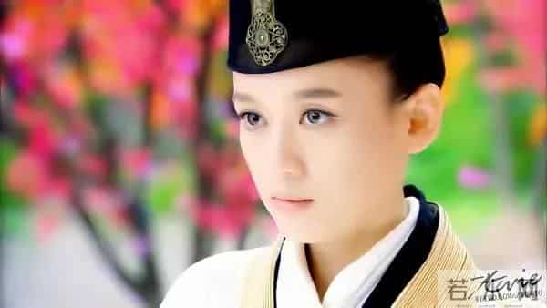 樊胜美男人出轨琅琊榜长公主