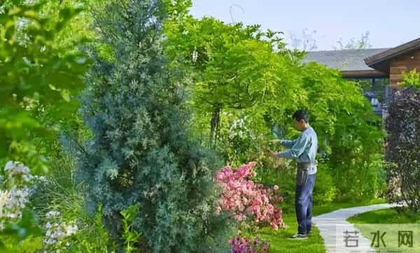 女子种地老公辞职支持