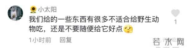 大猩猩自备吸管向游客索要饮料