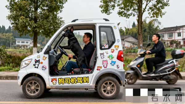 5岁女孩开车上路