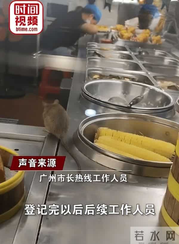 官方回应餐厅里老鼠在包子旁理毛