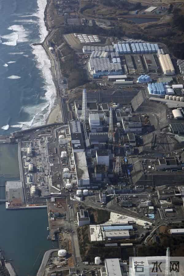 乌攒大量代孕新生儿