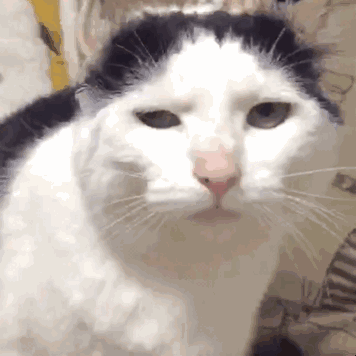 快乐大本营炎亚纶2012