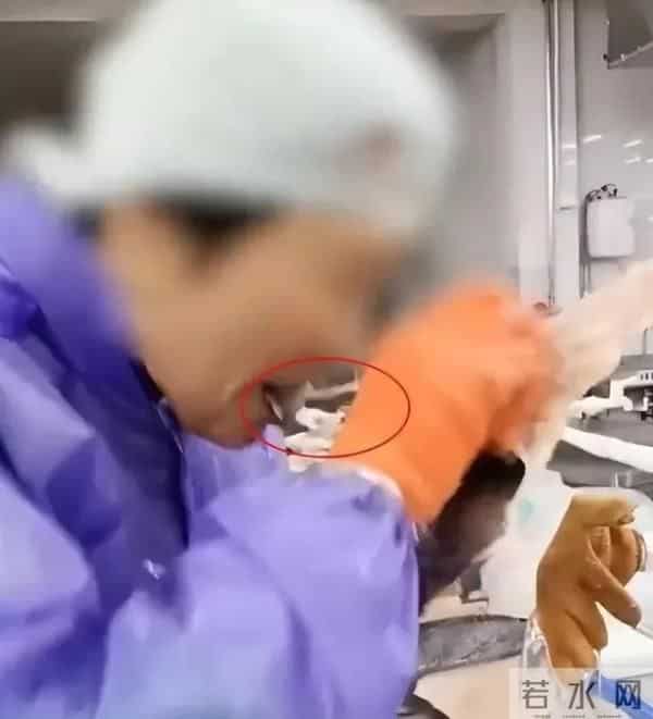 水产加工厂员工用牙给生鱼剥皮