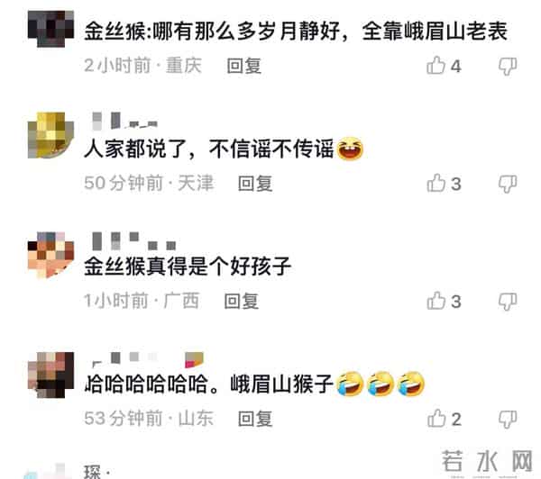 金丝猴坐路边礼貌接过游客苹果