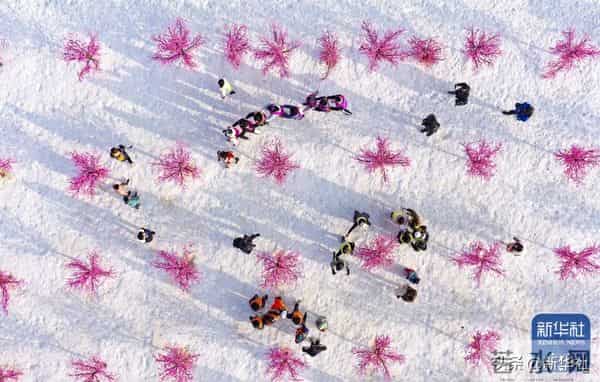 四川乐山大佛脚下河床裸露