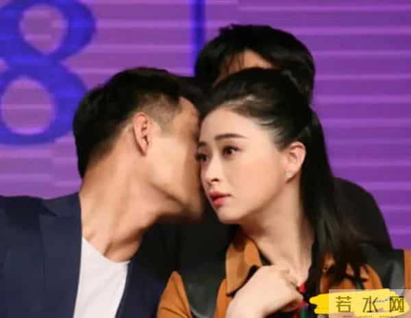 樊胜美男人出轨琅琊榜长公主