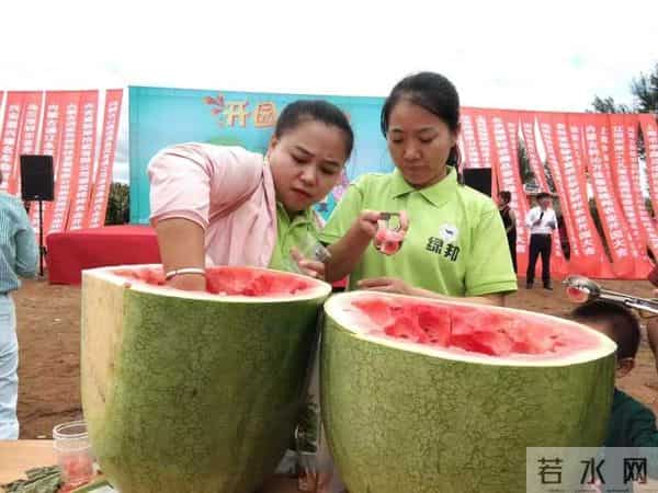 杭州种出78斤大西瓜破全省纪录