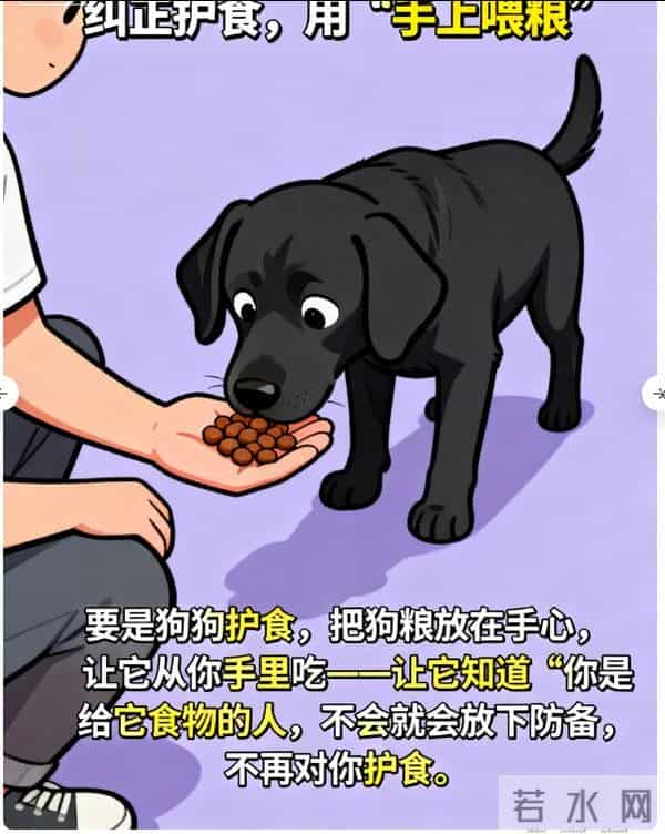 3斤小狗舔5斤大鱼被鱼尾抽翻