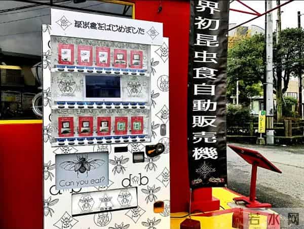 日本蟋蟀食品大受欢迎