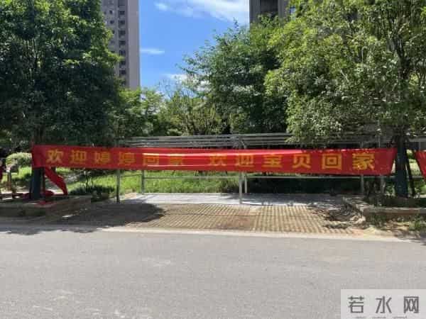 拼多多卖女童肉