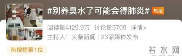 养臭水正在许多学生间风靡