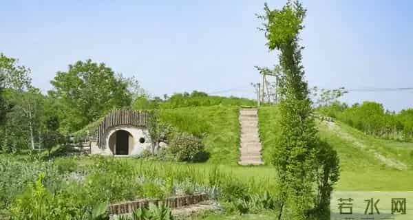 女子种地老公辞职支持